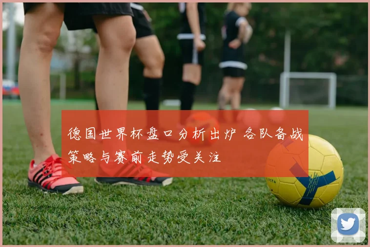 德国世界杯盘口分析出炉 各队备战策略与赛前走势受关注